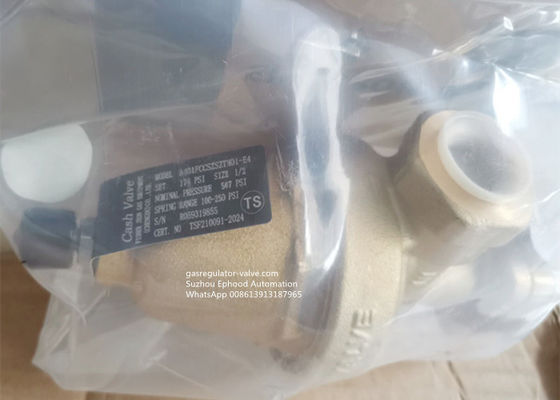 Zawór regulacyjny ciśnienia o dużej pojemności